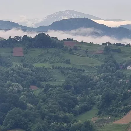 Lux Smestaj Ivanjicki Konaci Apartman